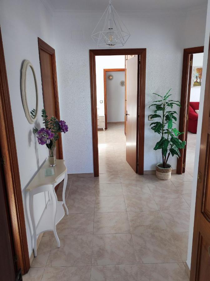 Soguer Home Conil De La Frontera Exteriér fotografie